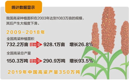 (老农如何利用数据恢复技术重新种植树木的方法)老农如何利用数据恢复技术重新种植树木？